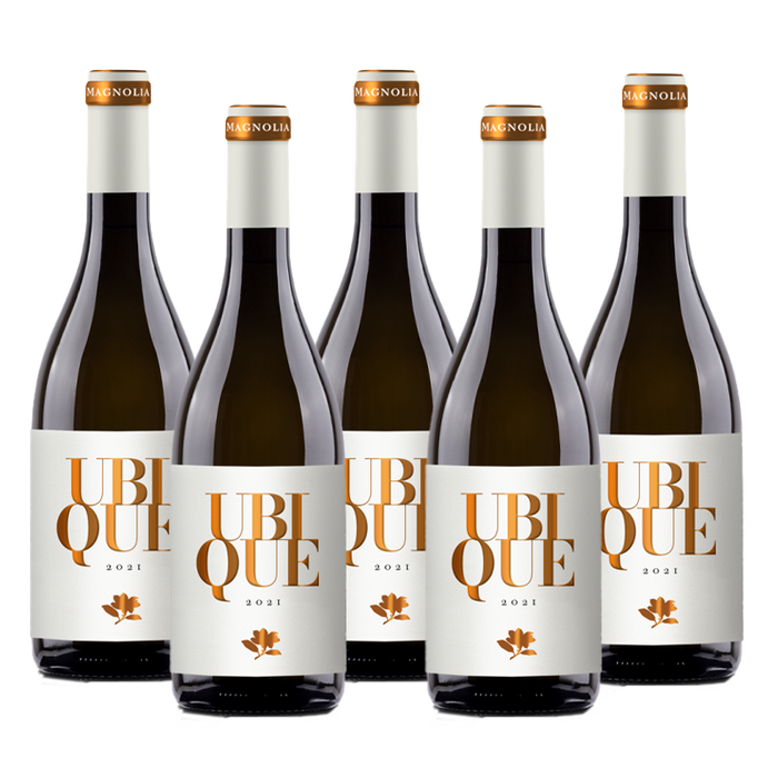 Friuli Magnolia - UBI QUE, 6 STK